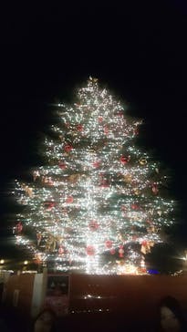 Christmas Market in 横浜赤レンガ倉庫 2025に投稿された画像（2025/1/27）