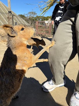 伊豆シャボテン動物公園に投稿された画像（2025/1/27）
