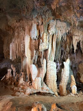 石垣島鍾乳洞に投稿された画像（2025/1/27）