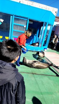 ゼロ距離水族館 伊勢シーパラダイスに投稿された画像（2025/1/27）