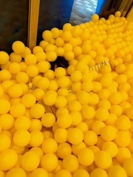 ASOBIG（あそびっぐ）に投稿された画像（2025/1/27）