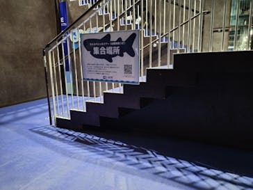 アクアワールド茨城県大洗水族館に投稿された画像（2025/1/27）