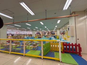 キッズランドUS 埼玉熊谷店に投稿された画像（2025/1/27）