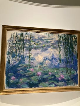 モネ 睡蓮のとき（国立西洋美術館）に投稿された画像（2025/1/27）