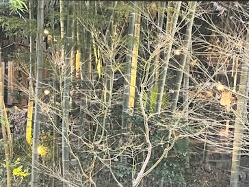 箱根湯本温泉 天成園に投稿された画像（2025/1/27）