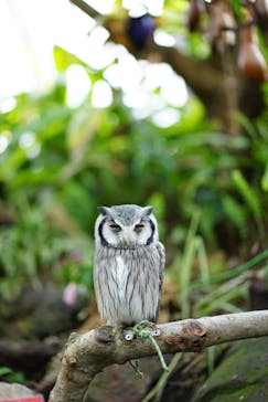 伊豆シャボテン動物公園に投稿された画像（2025/1/27）