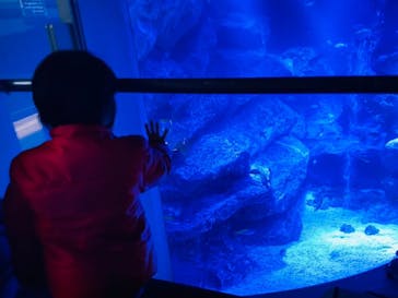 マクセル アクアパーク品川に投稿された画像（2025/1/27）