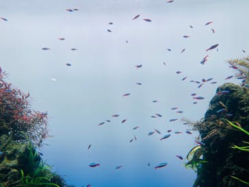 マクセル アクアパーク品川に投稿された画像（2025/1/27）