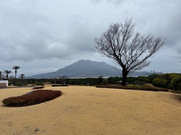 仙巌園に投稿された画像（2025/1/27）