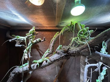 体感型動物園iZooに投稿された画像（2025/1/27）