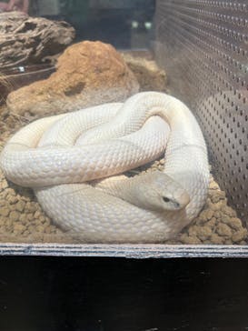 体感型動物園iZooに投稿された画像（2025/1/27）