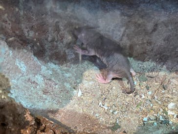 体感型動物園iZooに投稿された画像（2025/1/27）