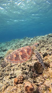  マリンショップHAPPYに投稿された画像（2025/1/27）