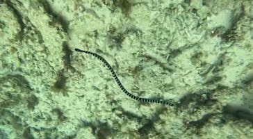  マリンショップHAPPYに投稿された画像（2025/1/27）