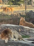 天王寺動物園に投稿された画像（2025/1/27）