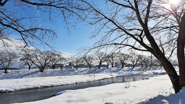 あきた芸術村に投稿された画像（2025/1/27）