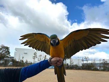 神戸どうぶつ王国に投稿された画像（2025/1/27）