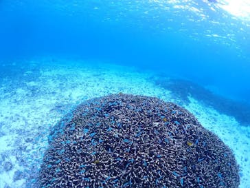 CHAMP TOUR　宮古島に投稿された画像（2025/1/27）