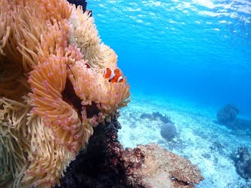 CHAMP TOUR　宮古島に投稿された画像（2025/1/27）