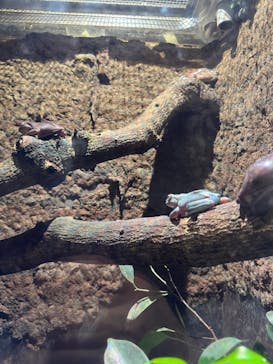 マクセル アクアパーク品川に投稿された画像（2025/1/27）