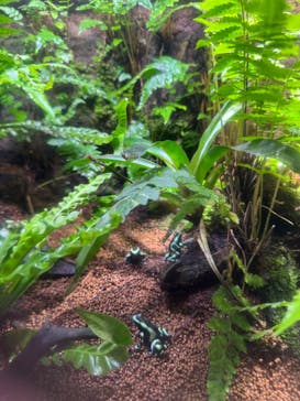 マクセル アクアパーク品川に投稿された画像（2025/1/27）