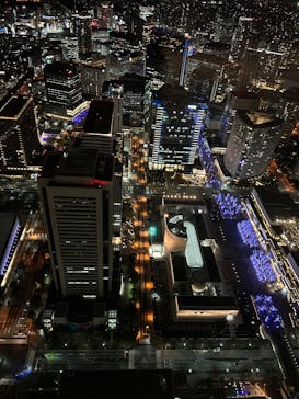 横浜ランドマークタワー 69階展望フロア スカイガーデンに投稿された画像（2025/1/27）