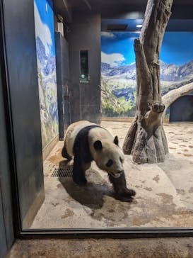 恩賜上野動物園に投稿された画像（2025/1/27）