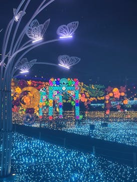 伊豆高原グランイルミに投稿された画像（2025/1/27）