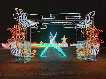 大阪城イルミナージュに投稿された画像（2025/1/20）