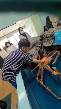 竹島水族館に投稿された画像（2025/1/28）