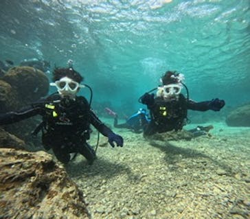 沖縄マリンサービス碧に投稿された画像（2025/1/28）