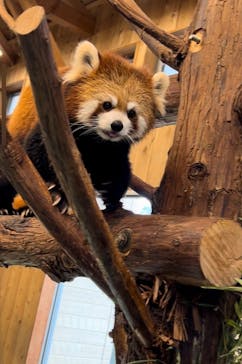 伊豆シャボテン動物公園に投稿された画像（2025/1/28）