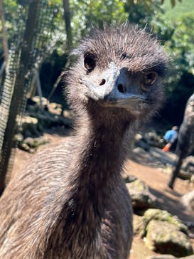 伊豆シャボテン動物公園に投稿された画像（2025/1/28）