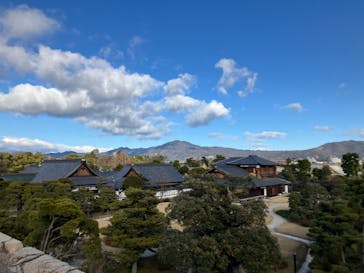 元離宮二条城に投稿された画像（2025/1/28）