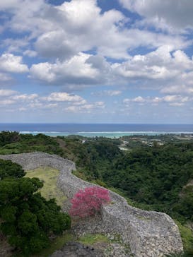 今帰仁城跡に投稿された画像（2025/1/28）