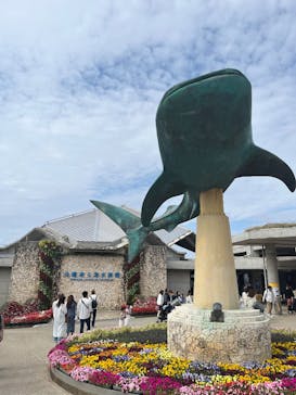 沖縄美ら海水族館に投稿された画像（2025/1/28）