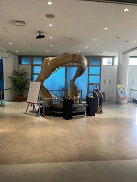 沖縄美ら海水族館に投稿された画像（2025/1/28）