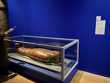 ブルックリン博物館所蔵 特別展 古代エジプトに投稿された画像（2025/1/28）