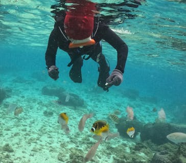 沖縄ダイビングショップシーモールに投稿された画像（2025/1/28）