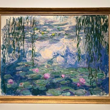 モネ 睡蓮のとき（国立西洋美術館）に投稿された画像（2025/1/28）