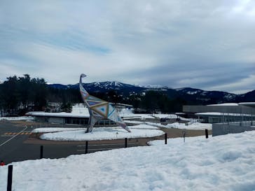 福井県立恐竜博物館に投稿された画像（2025/1/28）