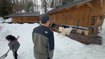 黒姫高原スノーパーク・KUROHIME GREEN GARDENに投稿された画像（2025/1/28）