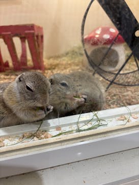 アニタッチアクアシティお台場に投稿された画像（2025/1/28）