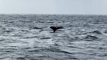 ジョイクリエイト沖縄ティーダに投稿された画像（2025/1/28）