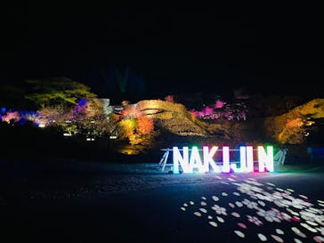 今帰仁城跡に投稿された画像（2025/1/28）