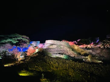 今帰仁城跡に投稿された画像（2025/1/28）