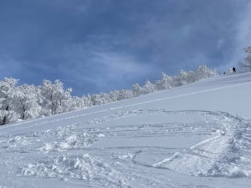 たざわ湖スキー場に投稿された画像（2025/1/28）