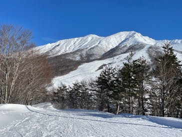 たざわ湖スキー場に投稿された画像（2025/1/28）