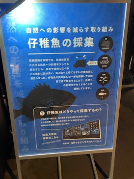 葛西臨海水族園に投稿された画像（2025/1/28）