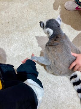 アニタッチららぽーと名古屋みなとアクルスに投稿された画像（2025/1/28）